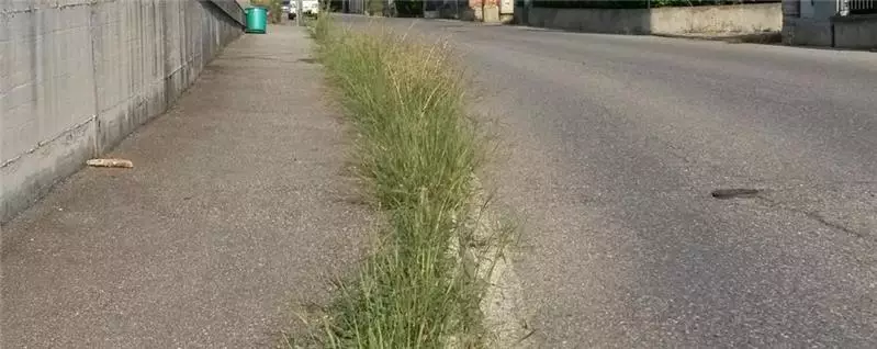Erba strade