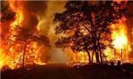 PERICOLOSITA' INCENDI BOSCHIVI
