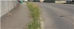 Erba strade